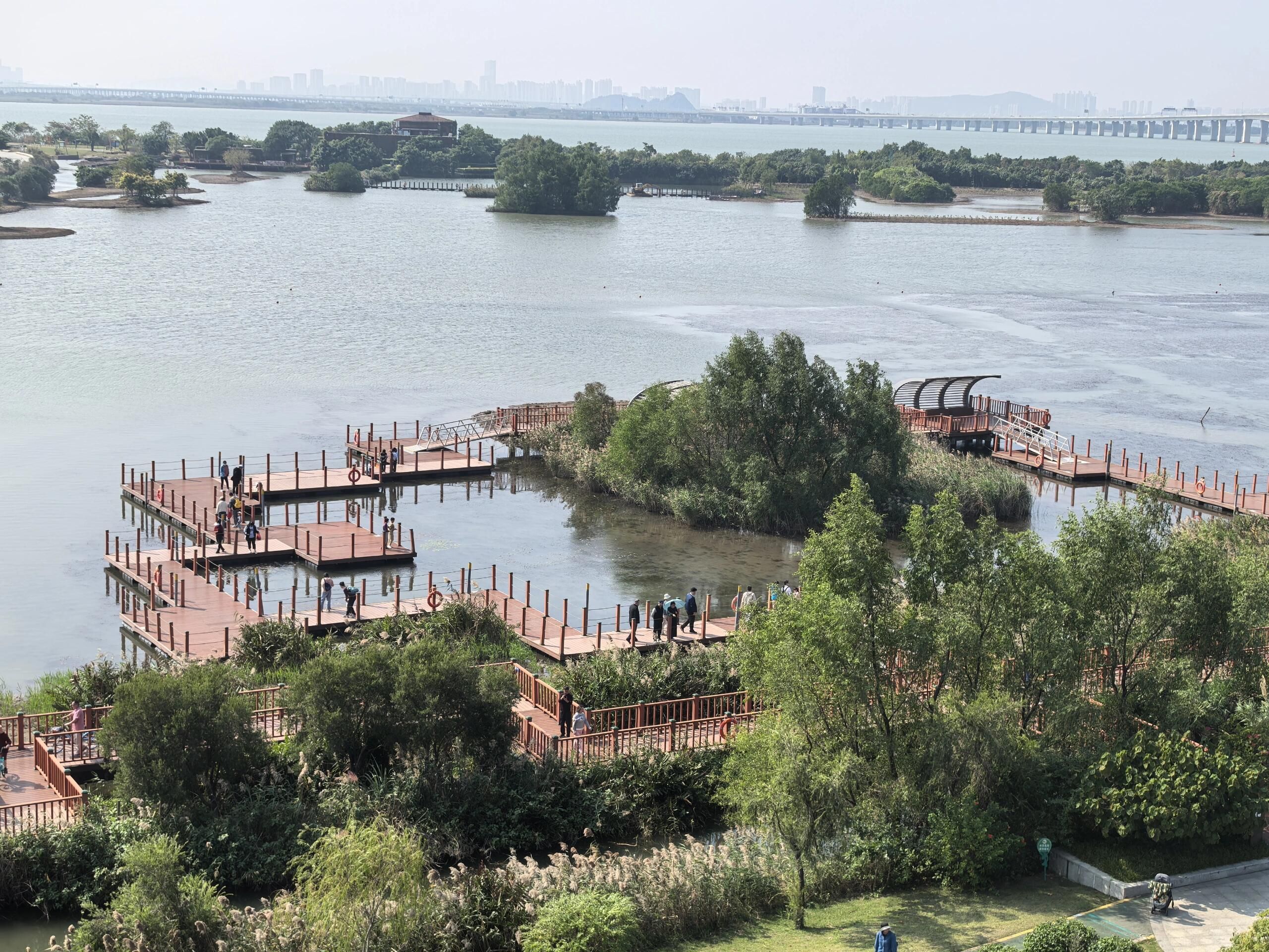 横琴芒洲湿地公园旅行图片 3