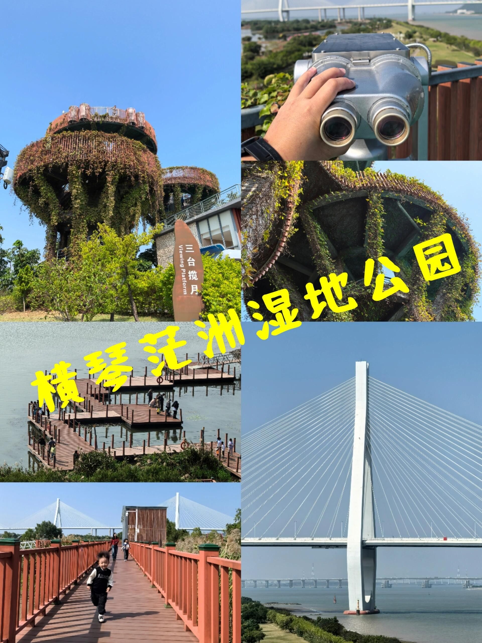 横琴芒洲湿地公园旅行图片 1