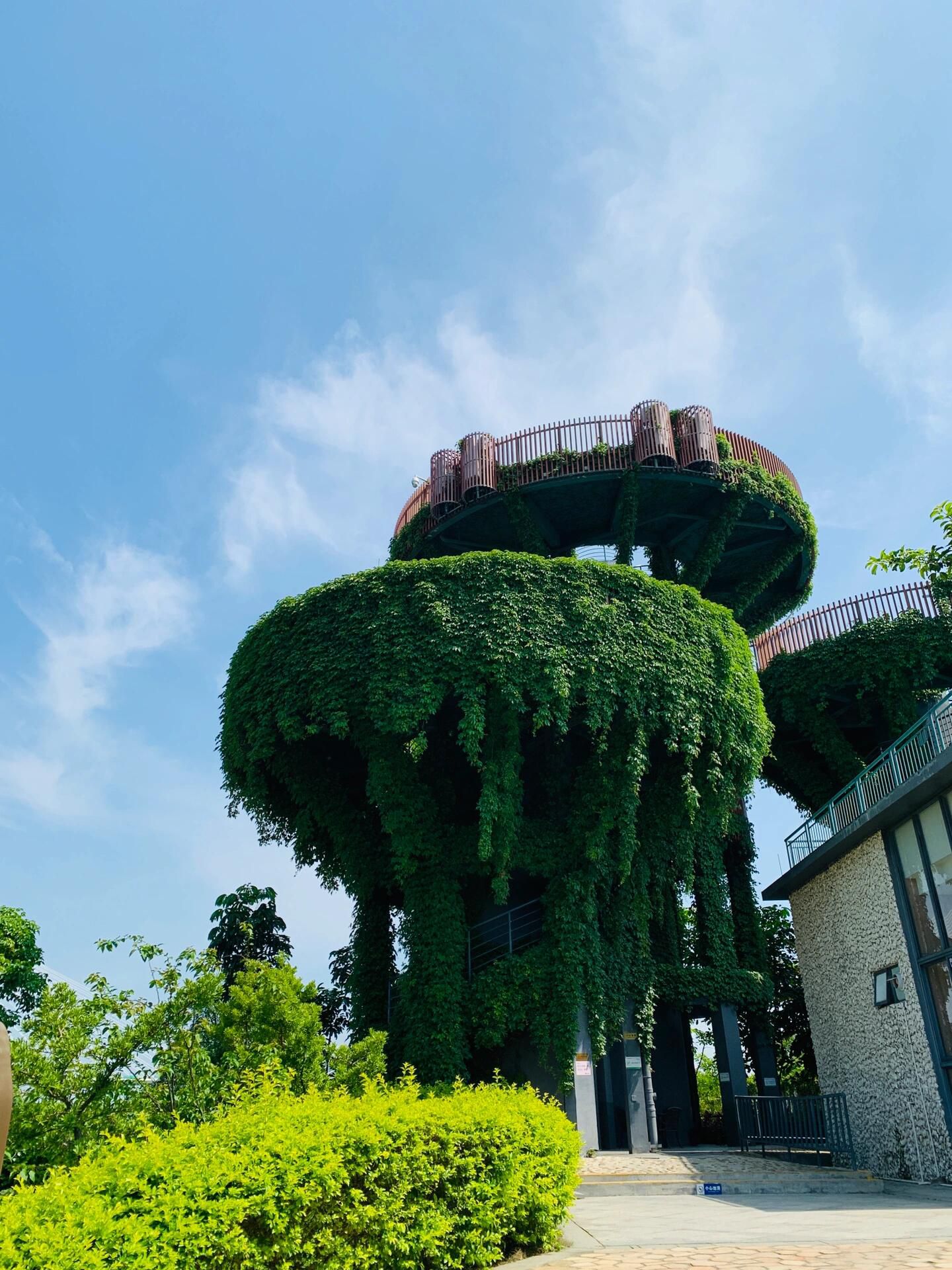 横琴芒洲湿地公园旅行图片 2