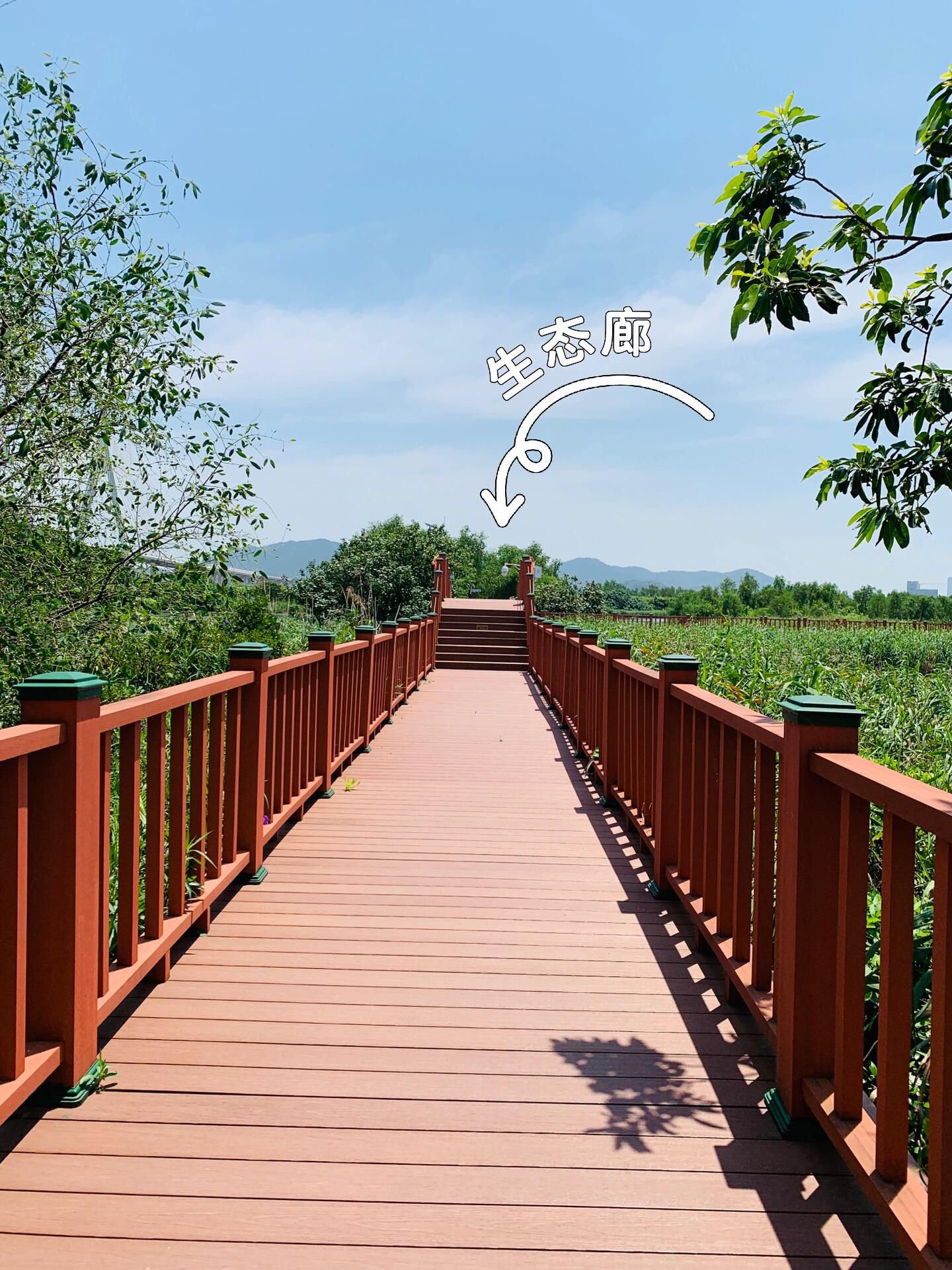 横琴芒洲湿地公园旅行图片 3