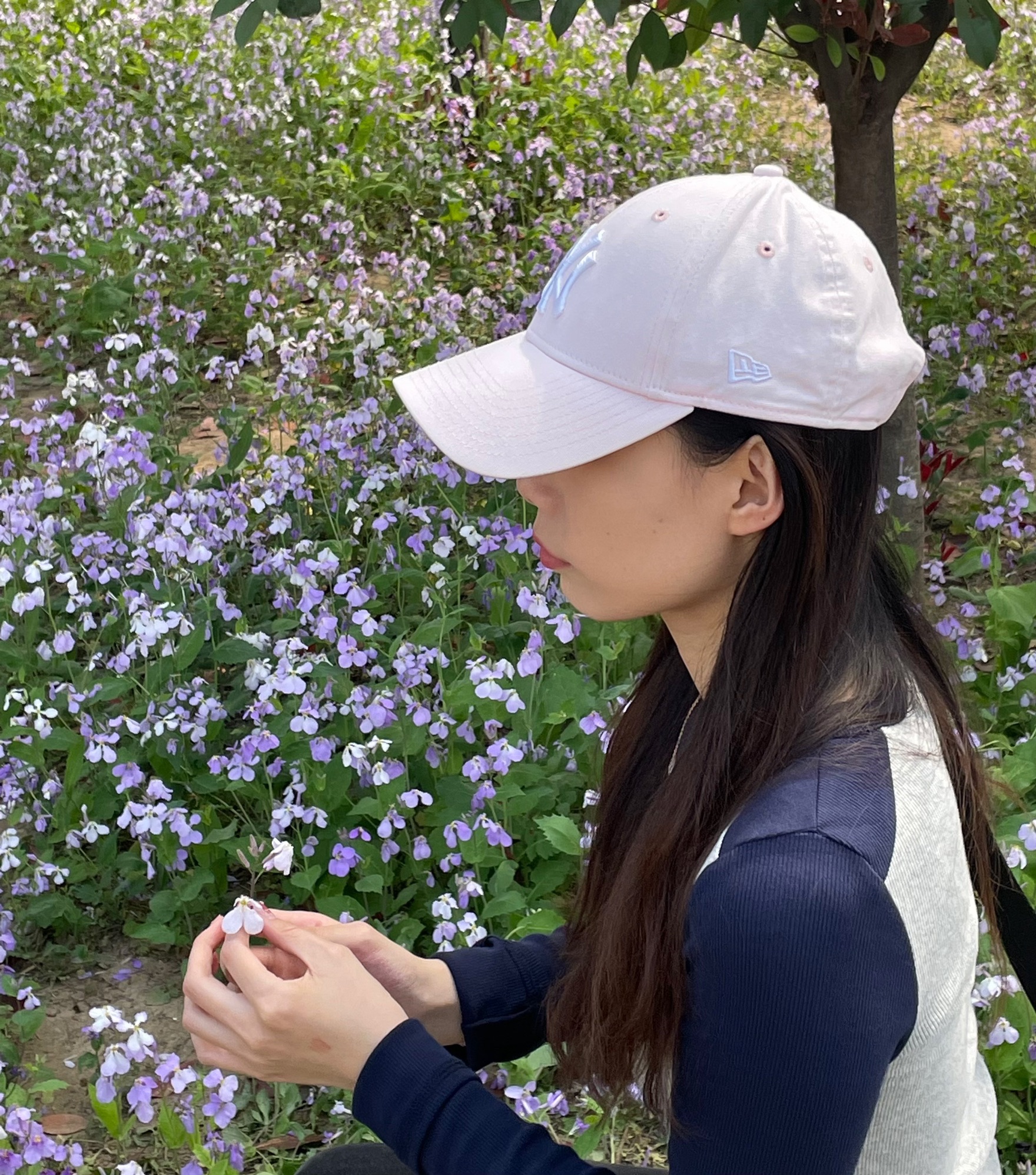 九州洼月季旅游景区旅行图片 3