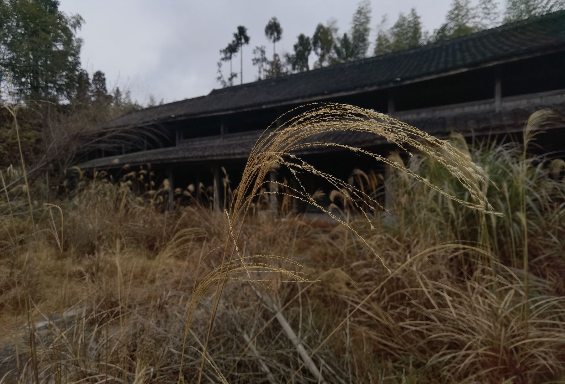 塔头底古村落旅行图片 2