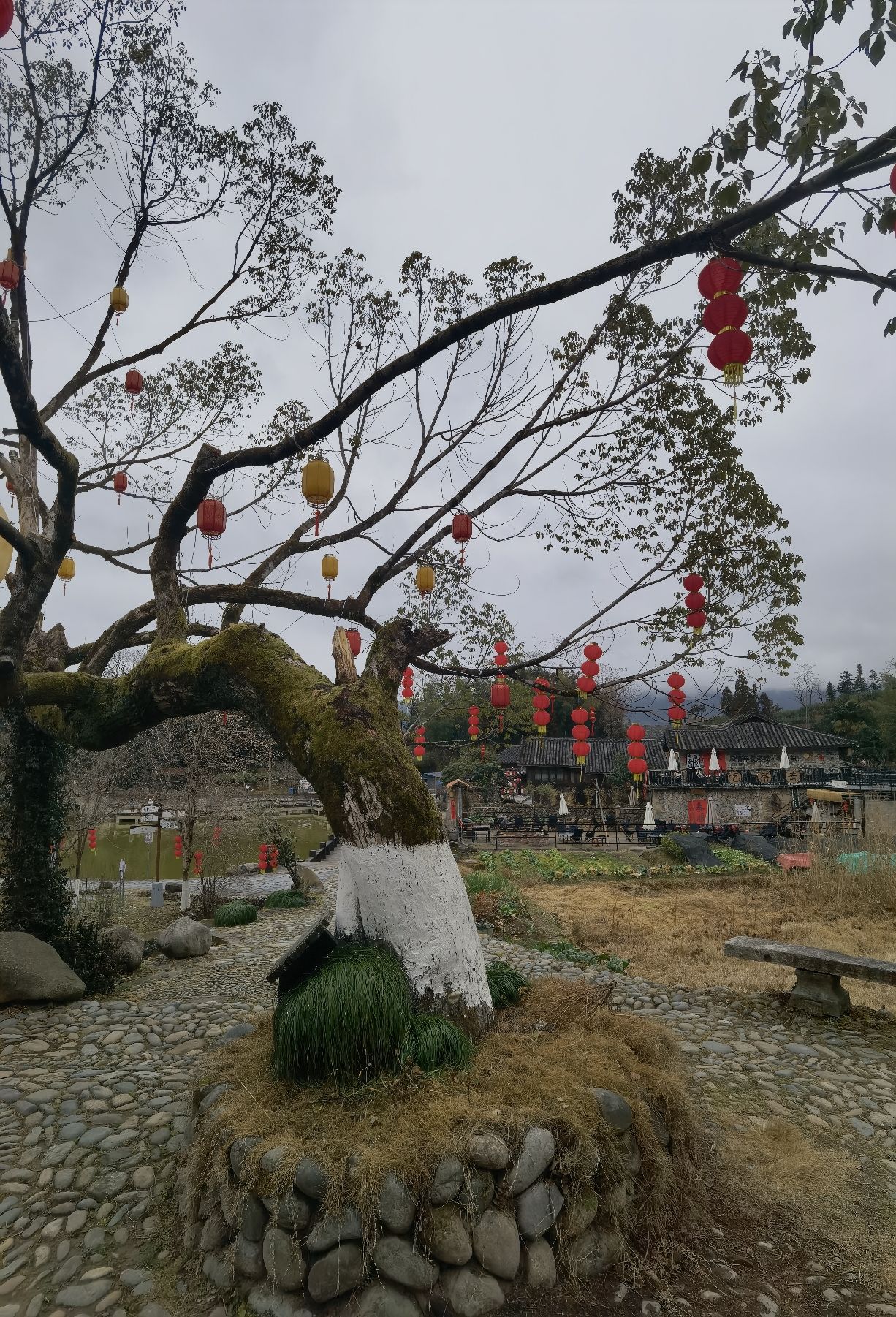 塔头底古村落旅行图片 1