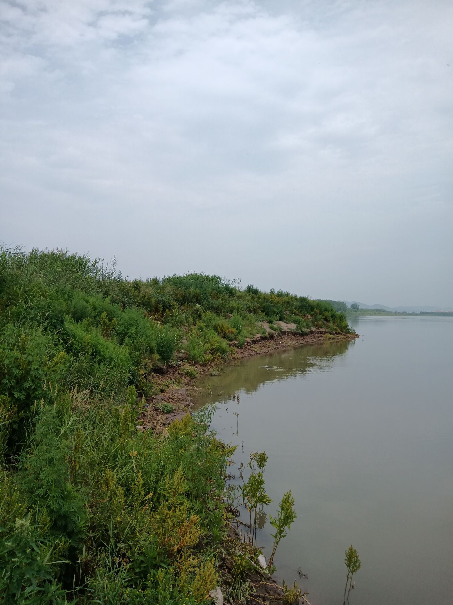 铁铜沙滩旅行图片 1