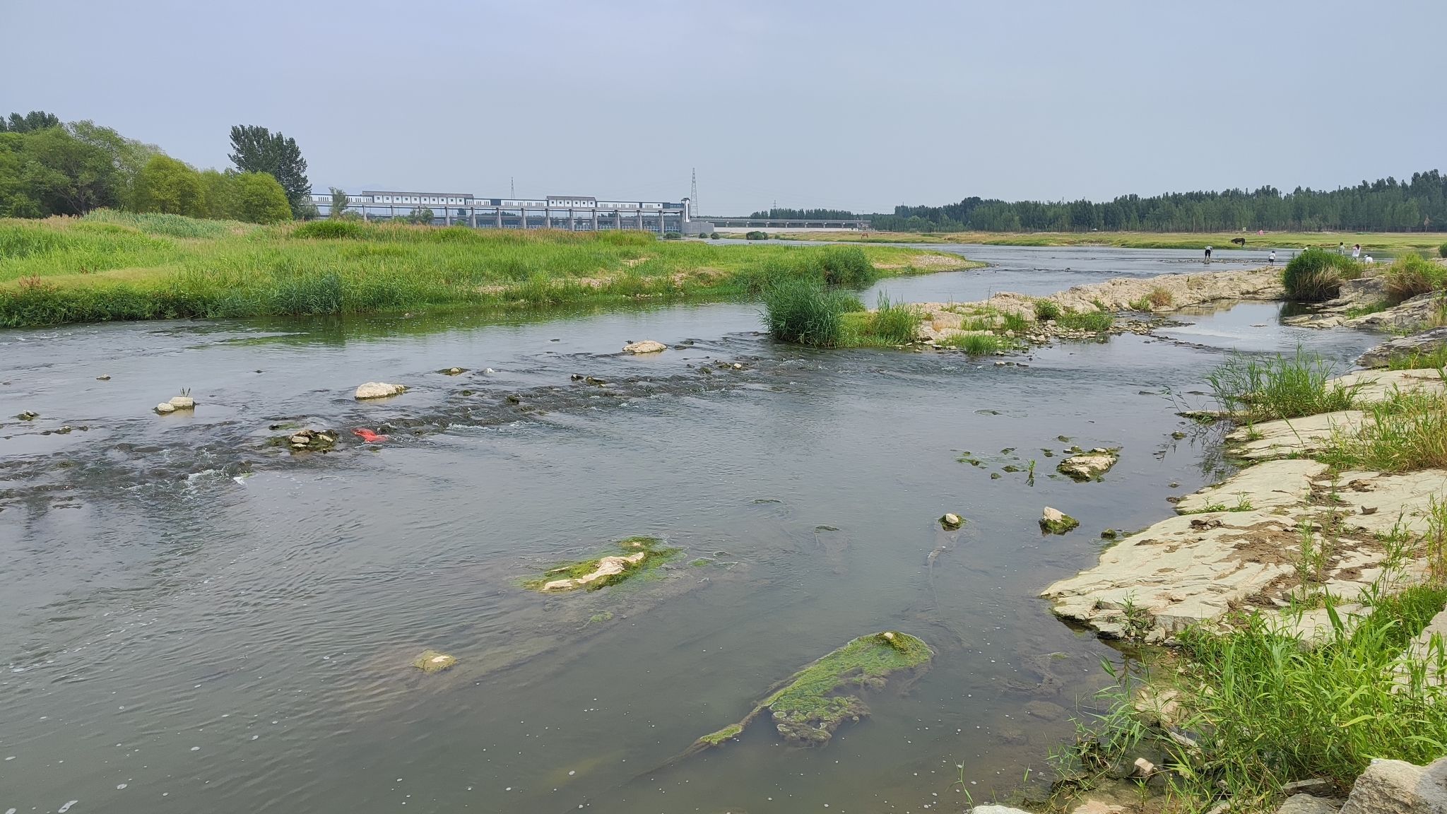 大汶口古石桥旅行图片 3