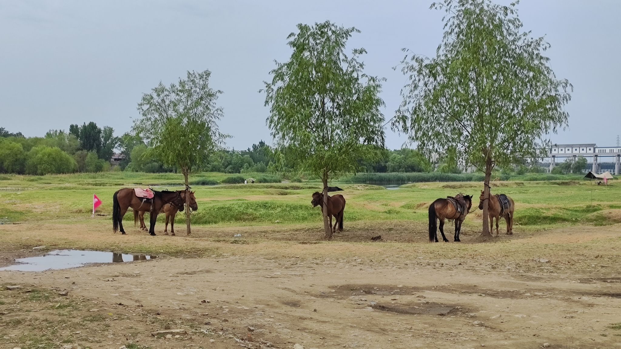 大汶口古石桥旅行图片 1