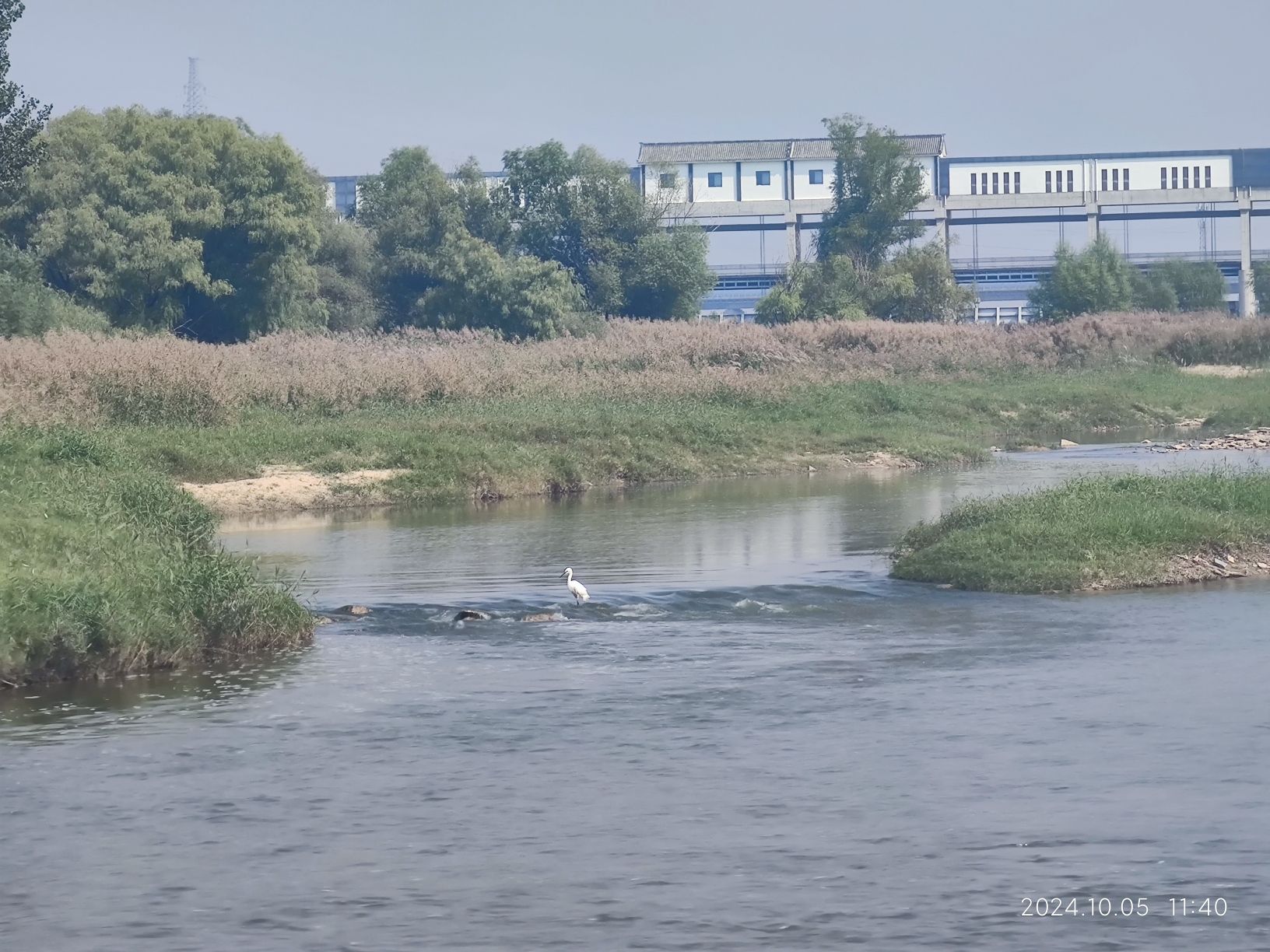 大汶口古石桥旅行图片 1