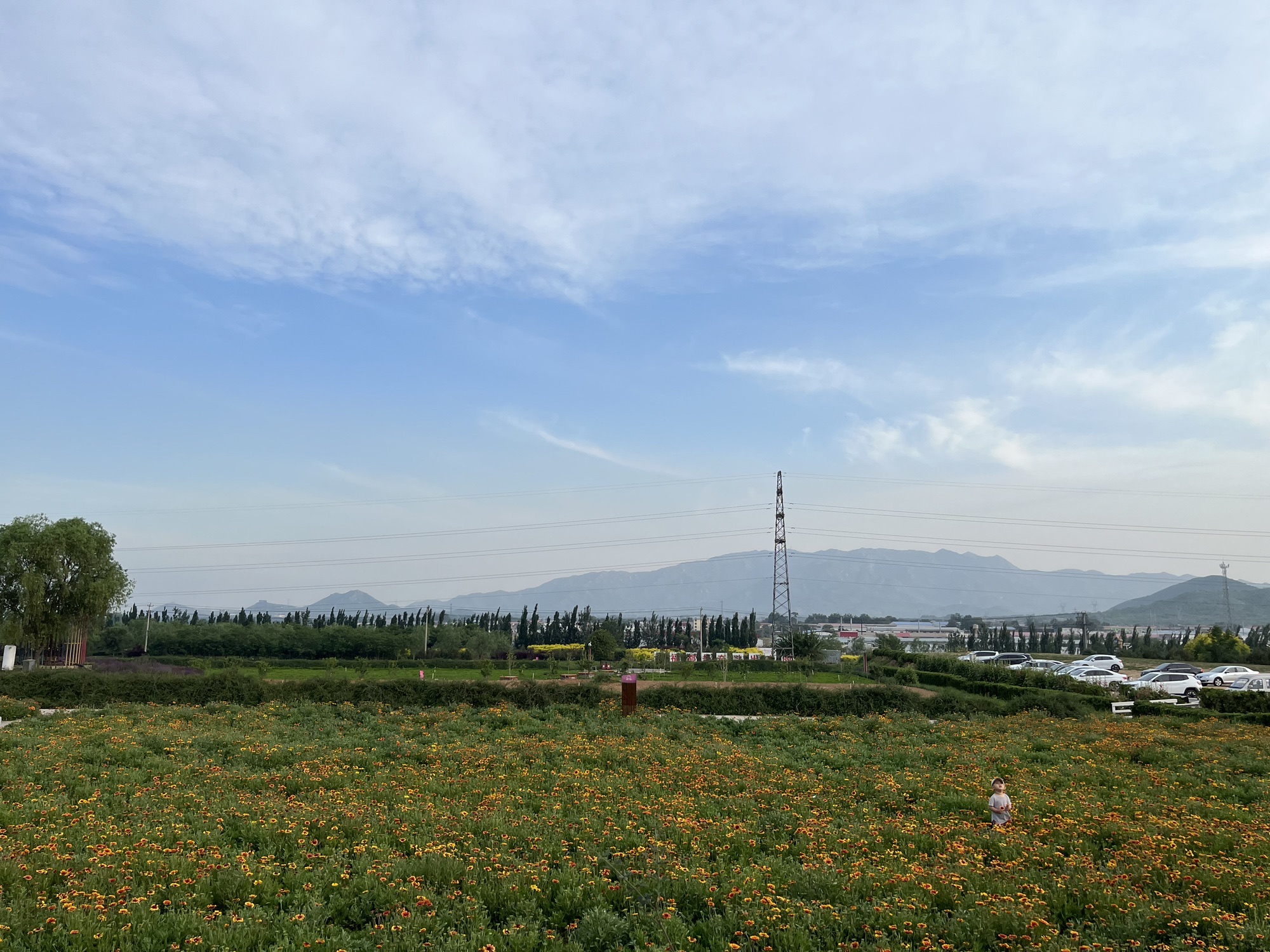 君乐宝酸奶文化景区旅行图片 3