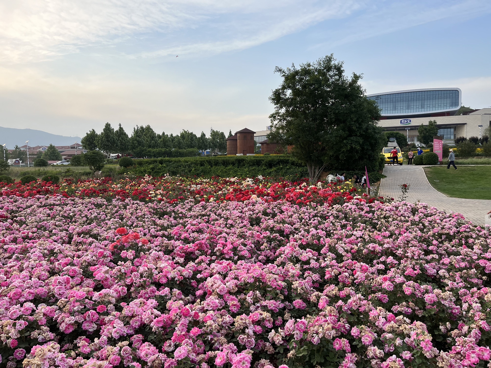 君乐宝酸奶文化景区旅行图片 2
