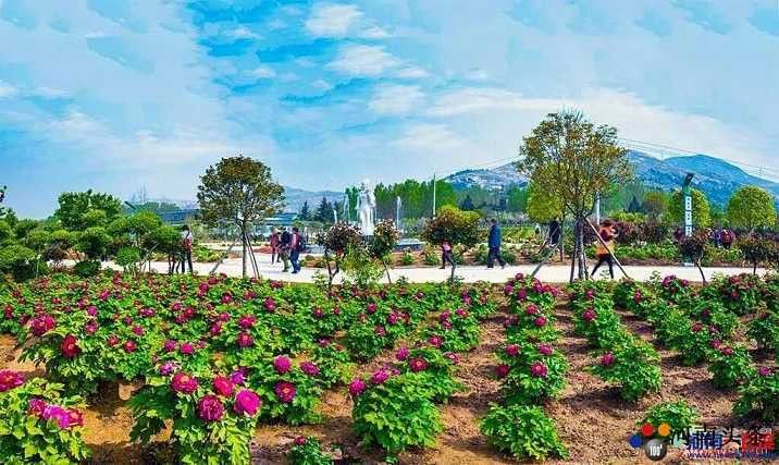 德云山风情植物园旅行图片 3