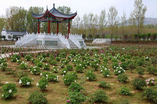 德云山风情植物园旅行图片 2