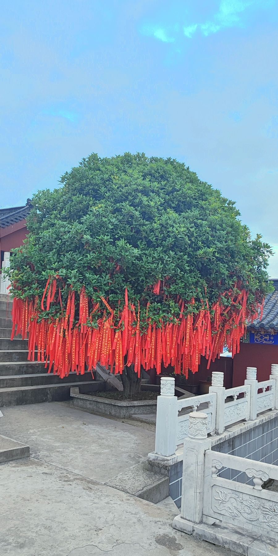 九龙山迎水观旅行图片 3