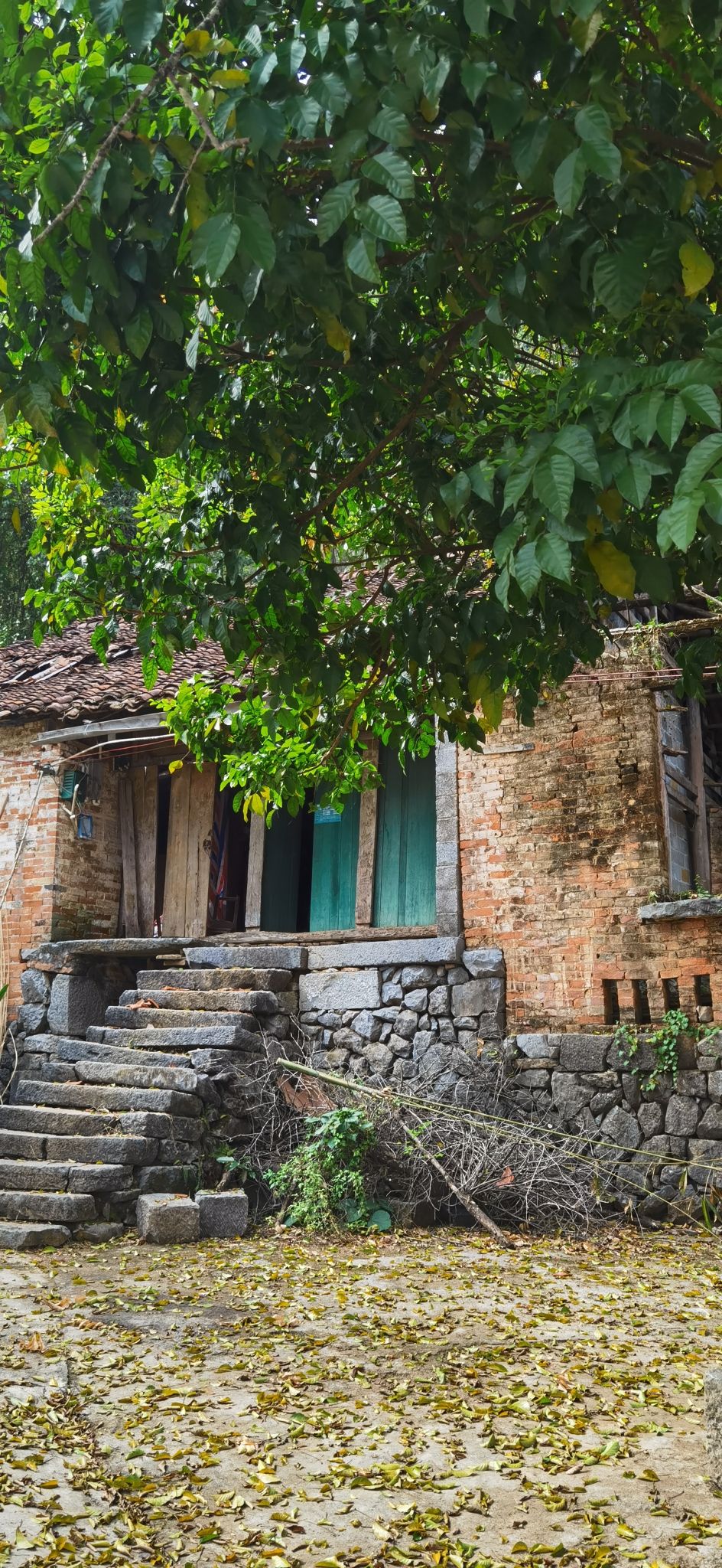 都安地下河国家地质公园旅行图片 1