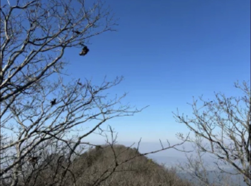 龙祈山风景区旅行图片 2