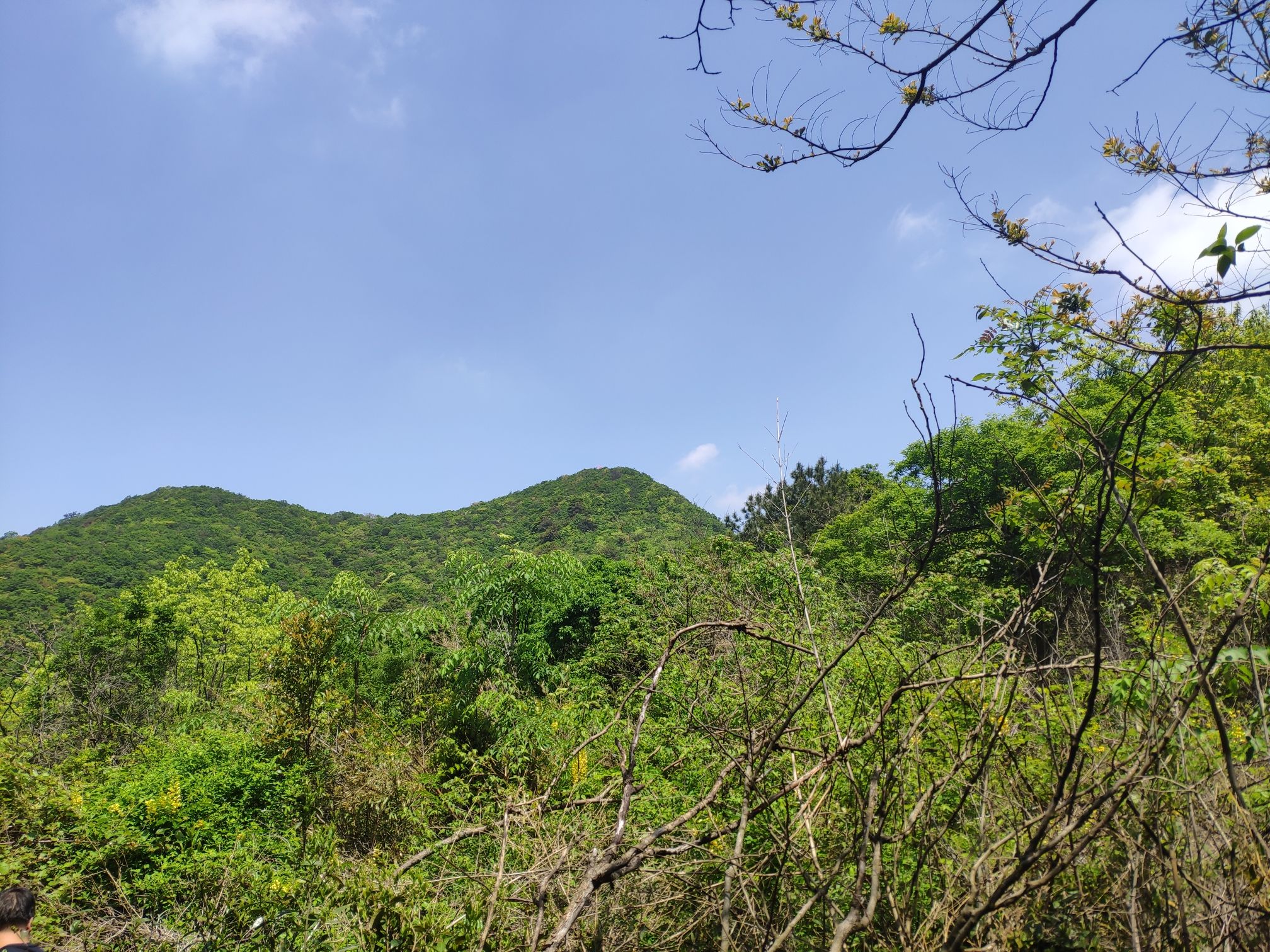 龙祈山风景区旅行图片 3