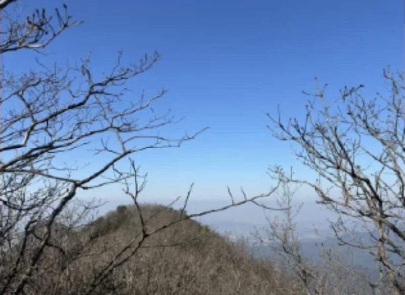 龙祈山风景区旅行图片 3