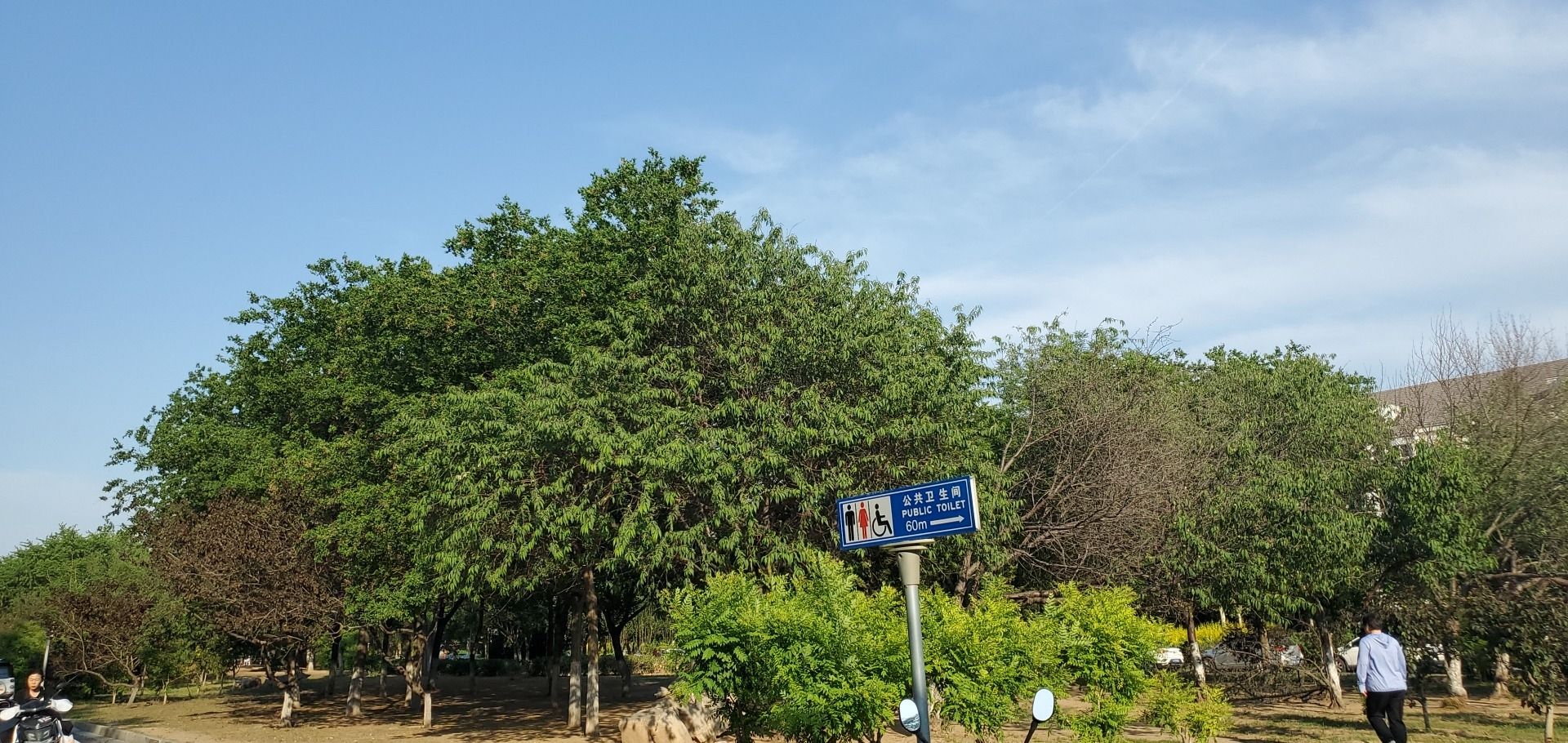 瑞景街健康文化园旅行图片 3