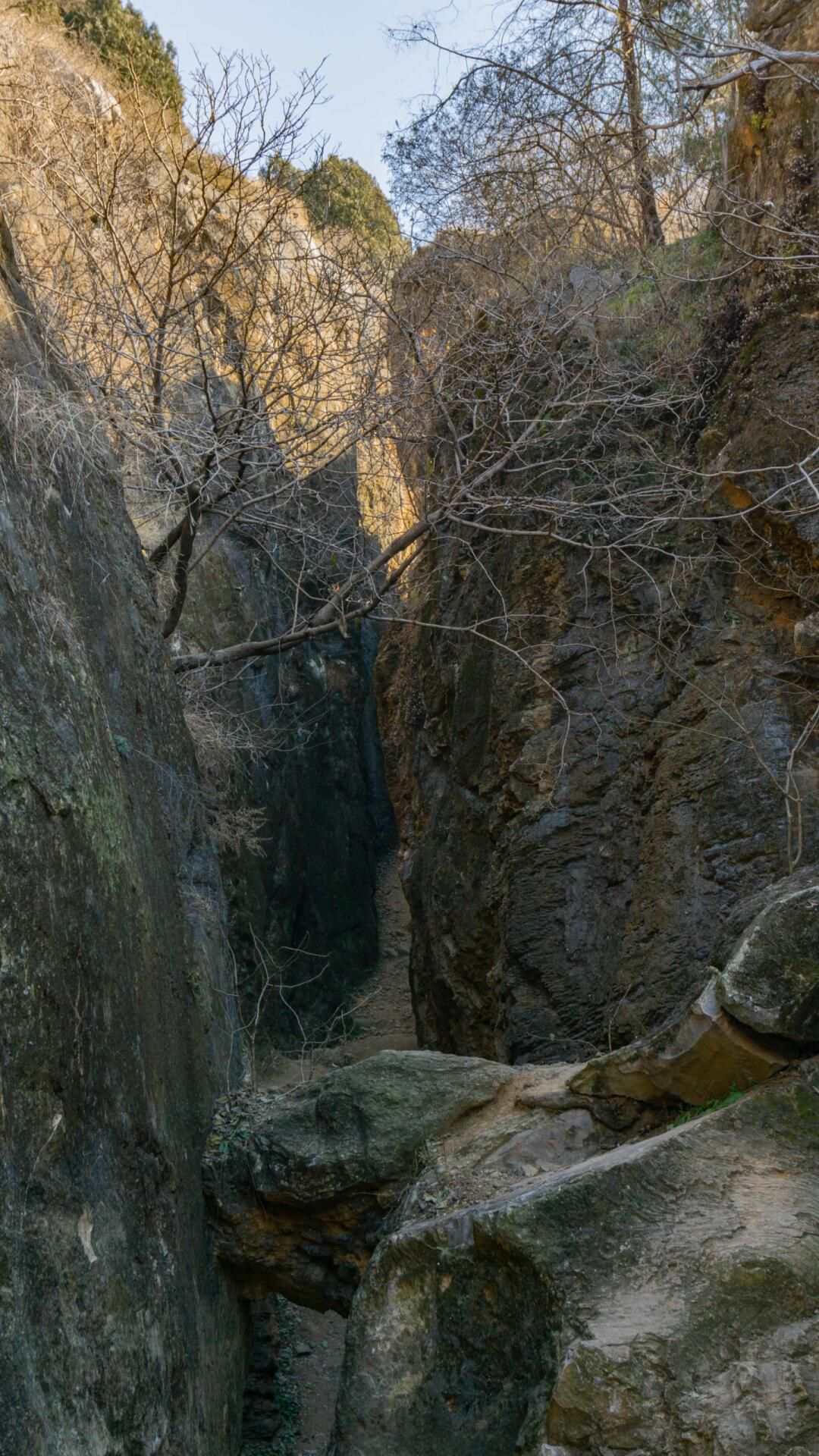 银山大裂谷旅行图片 3