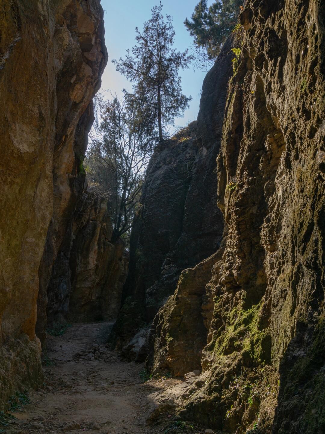 银山大裂谷旅行图片 2