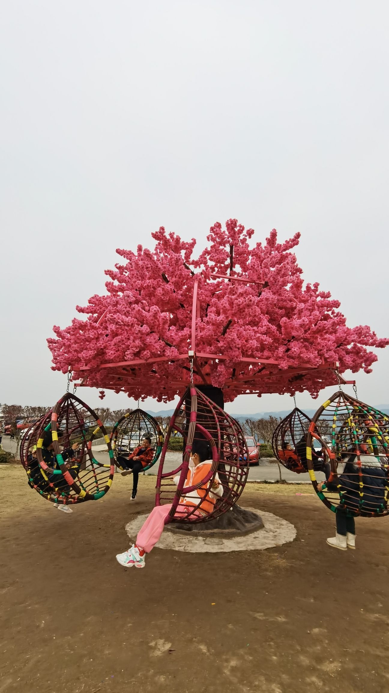 南湖多彩植物园旅行图片 2