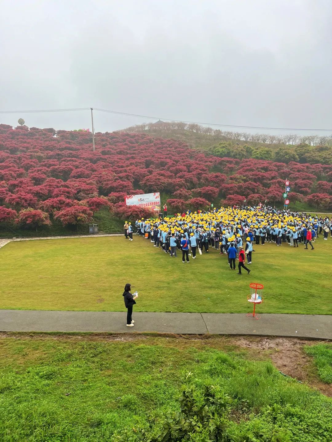 南湖多彩植物园旅行图片 2