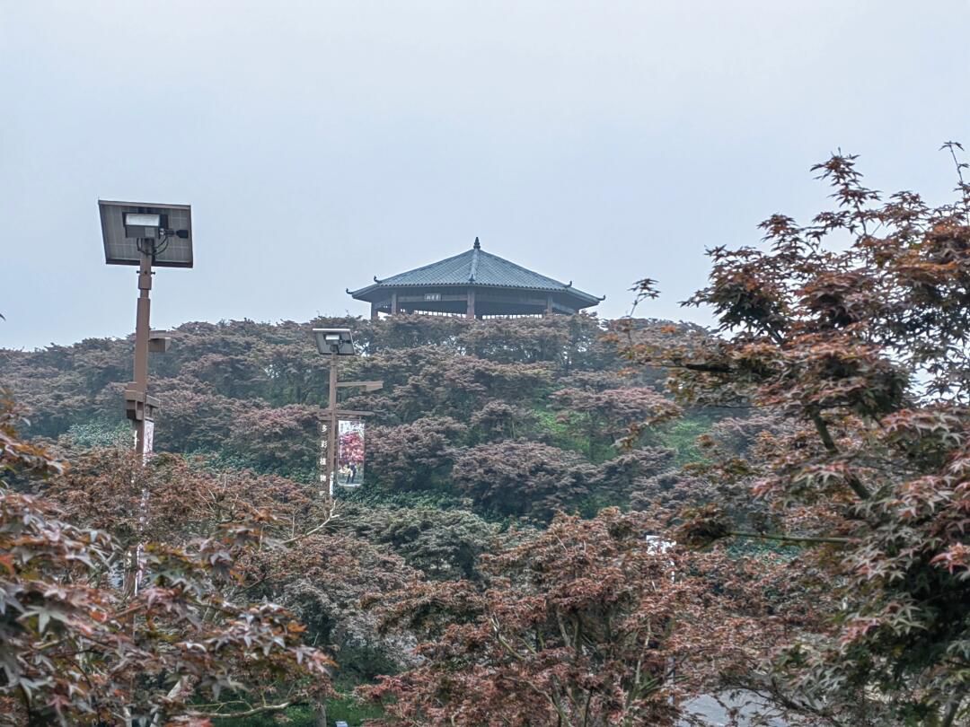 南湖多彩植物园旅行图片 1