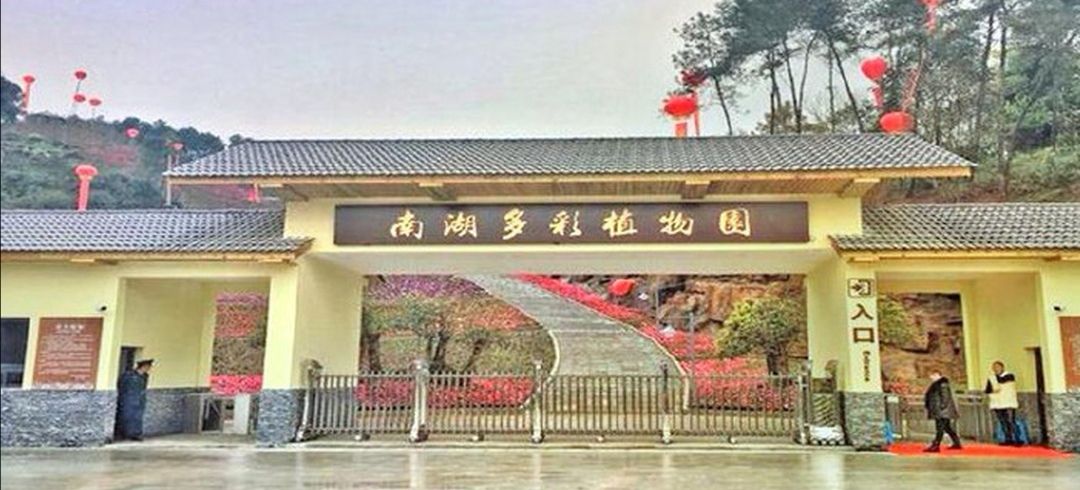 南湖多彩植物园旅行图片 1