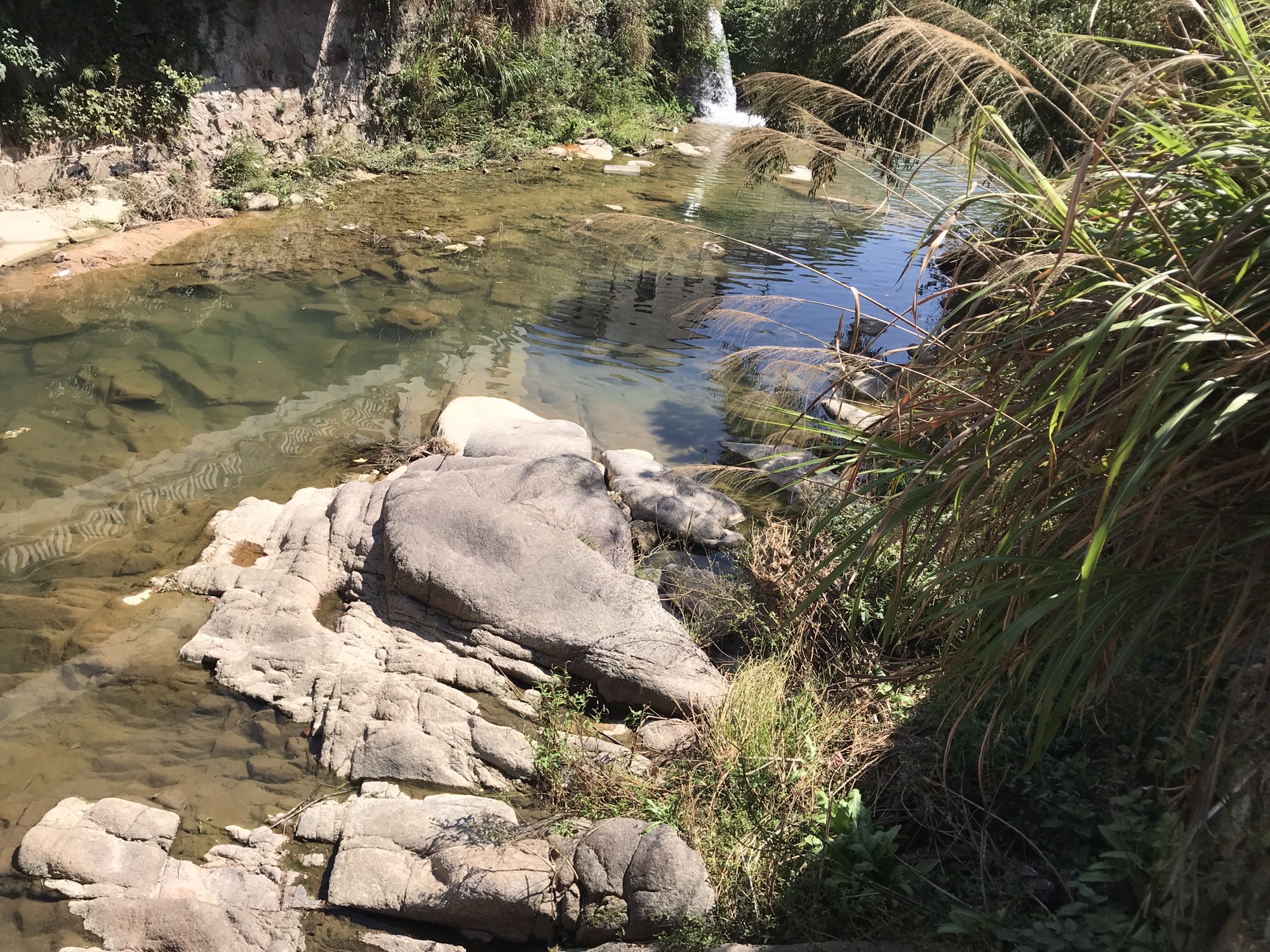 新昌小黄山旅行图片 2