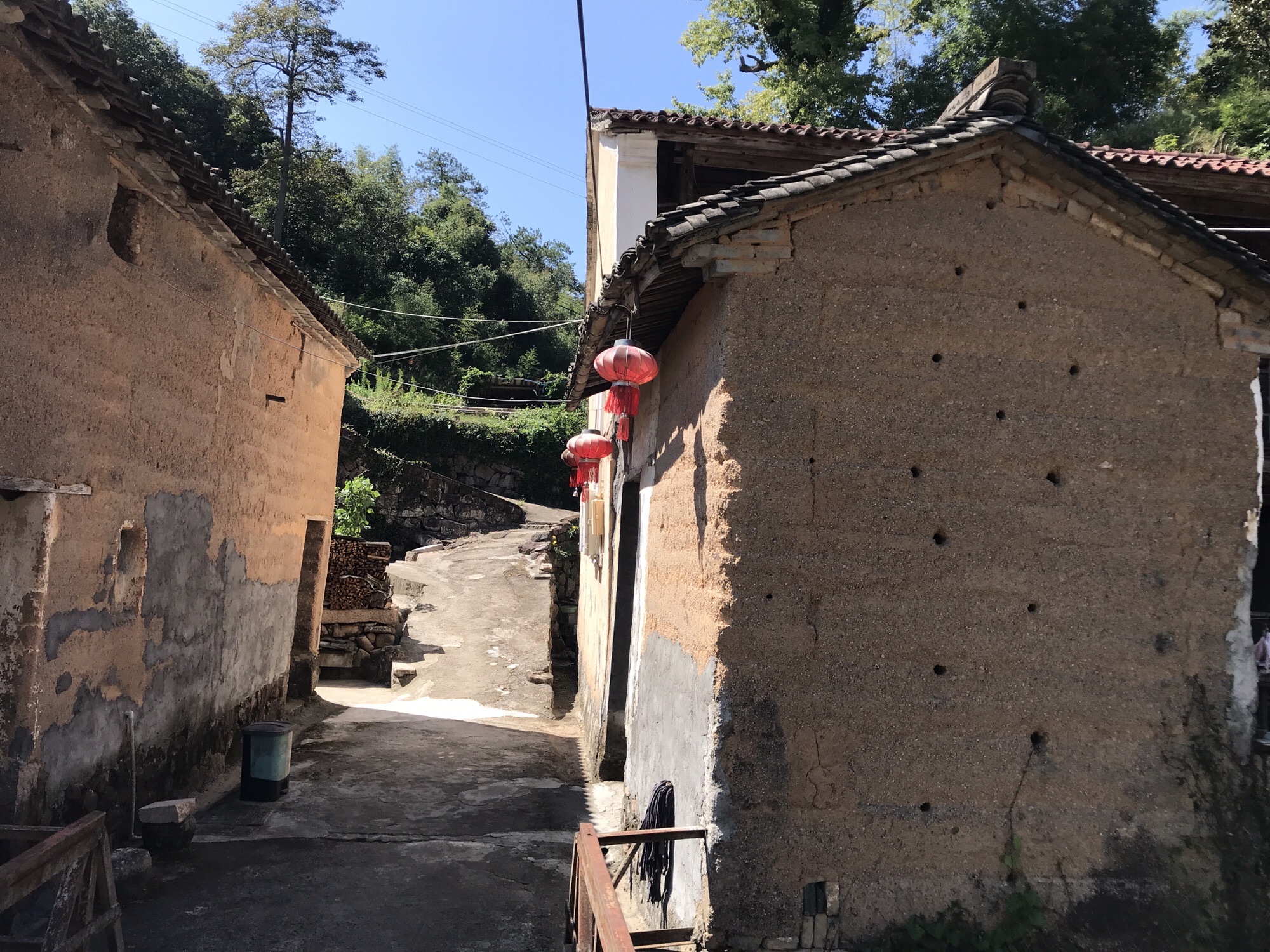 新昌小黄山旅行图片 1