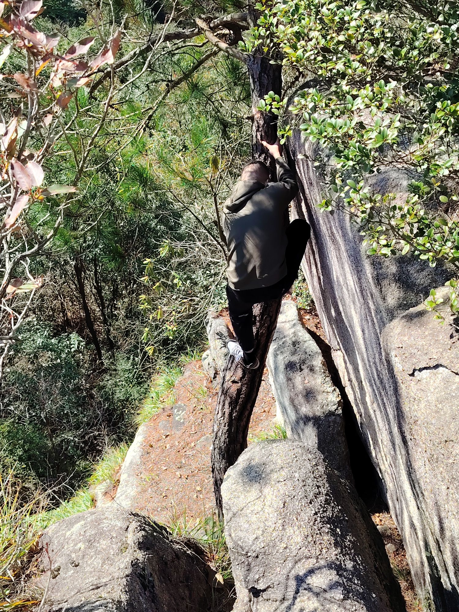新昌小黄山旅行图片 3