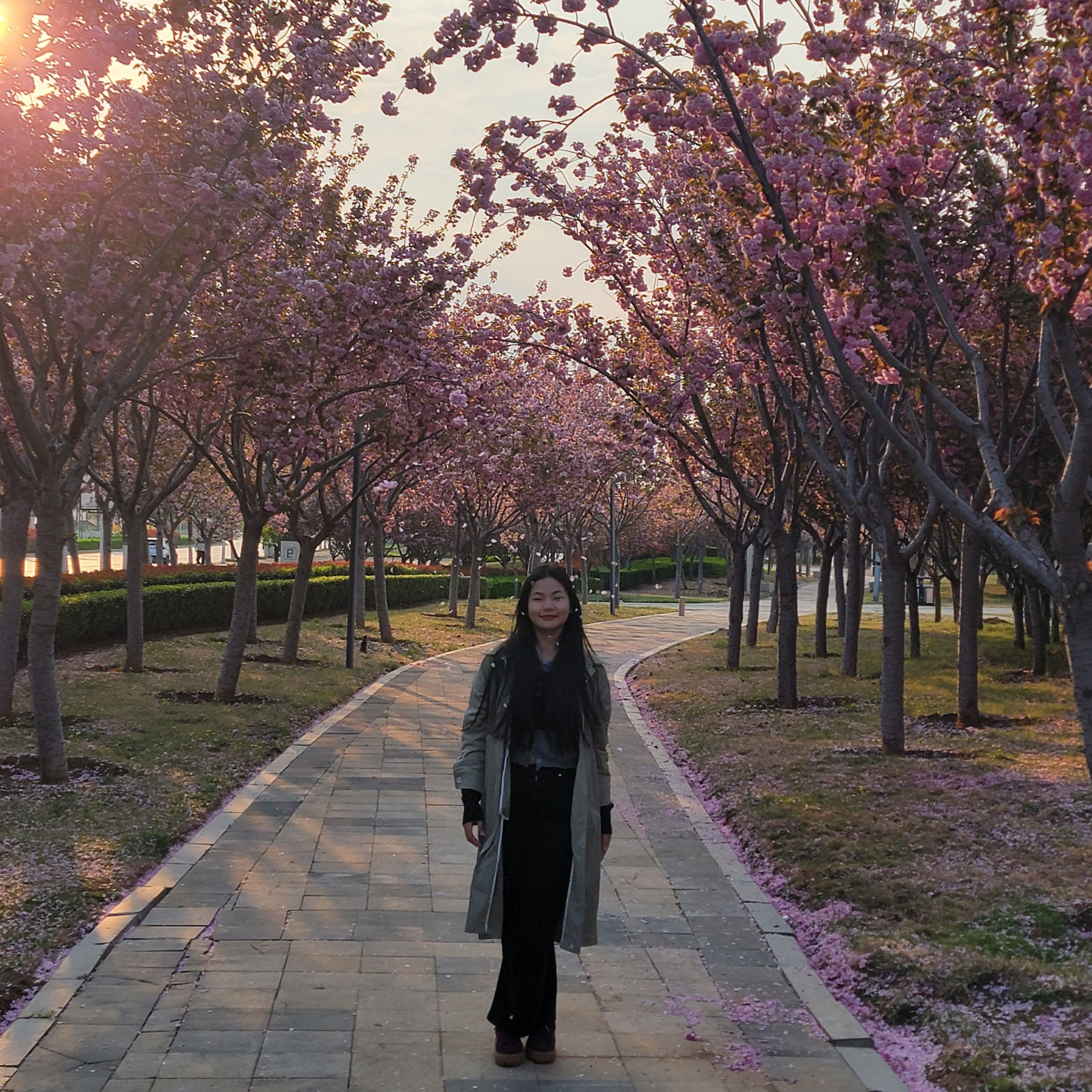 青年公园旅行图片 3