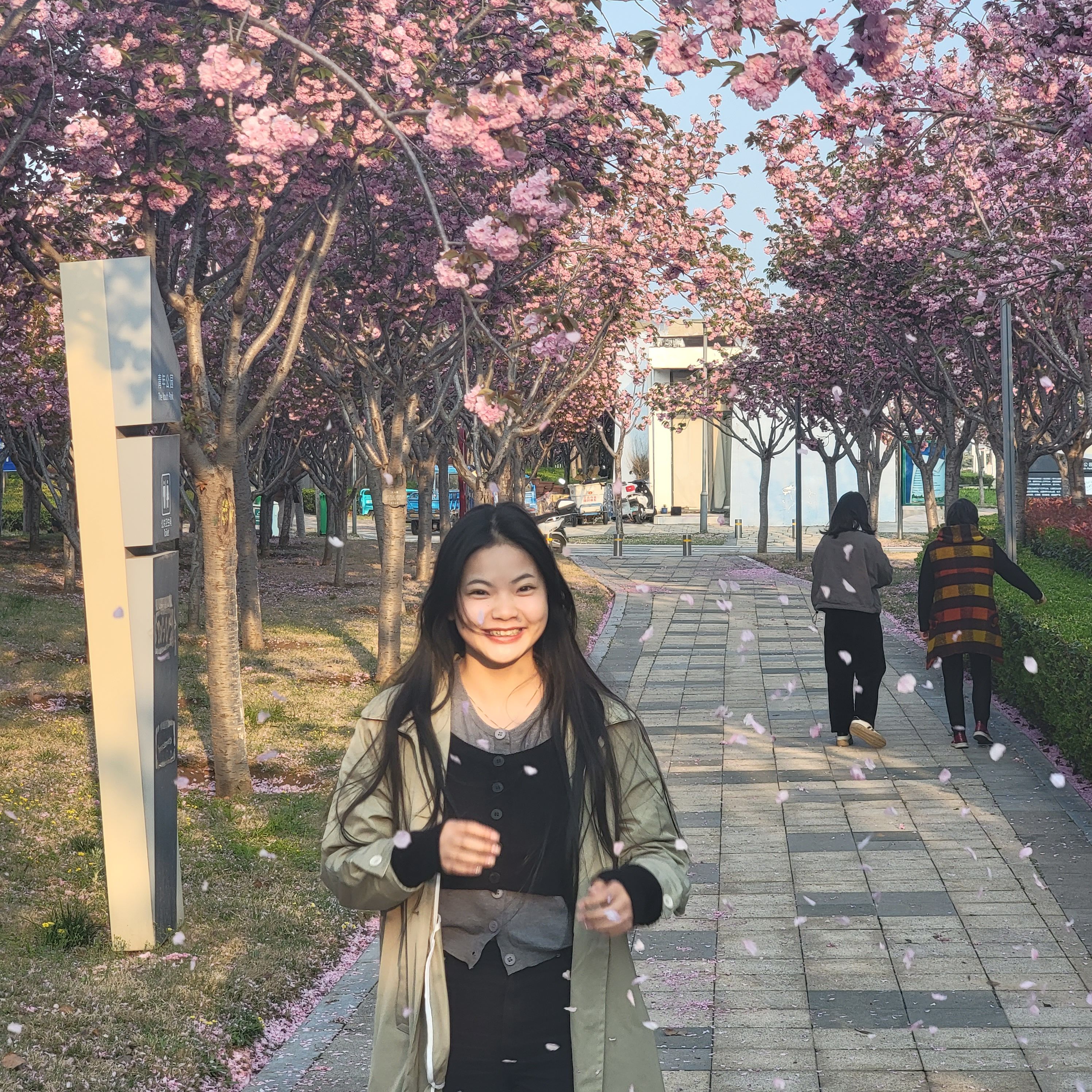 青年公园旅行图片 2