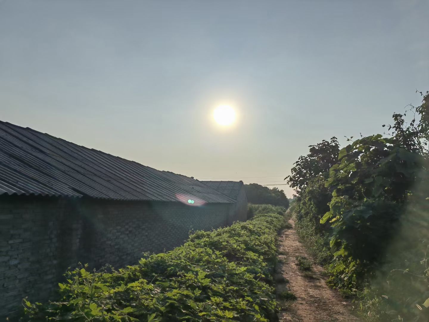 后晋显陵(石敬瑭墓)旅行图片 1