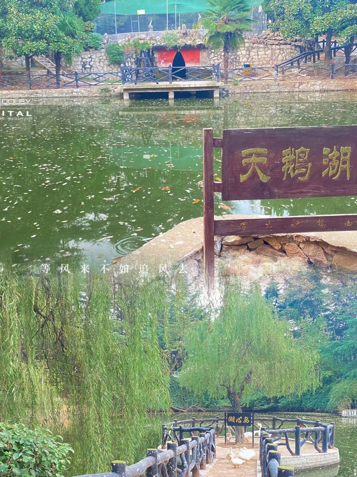 罗庄动物园旅行图片 3