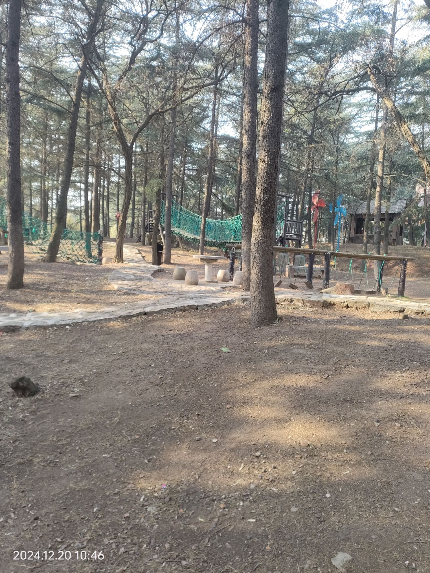罗庄动物园旅行图片 1