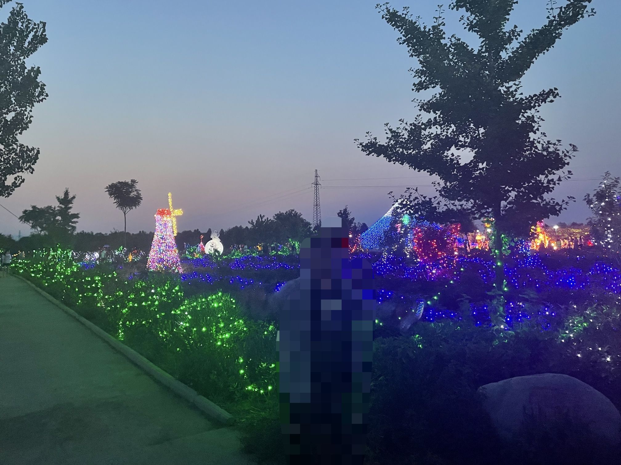 洪洞龙兴牡丹园旅行图片 2