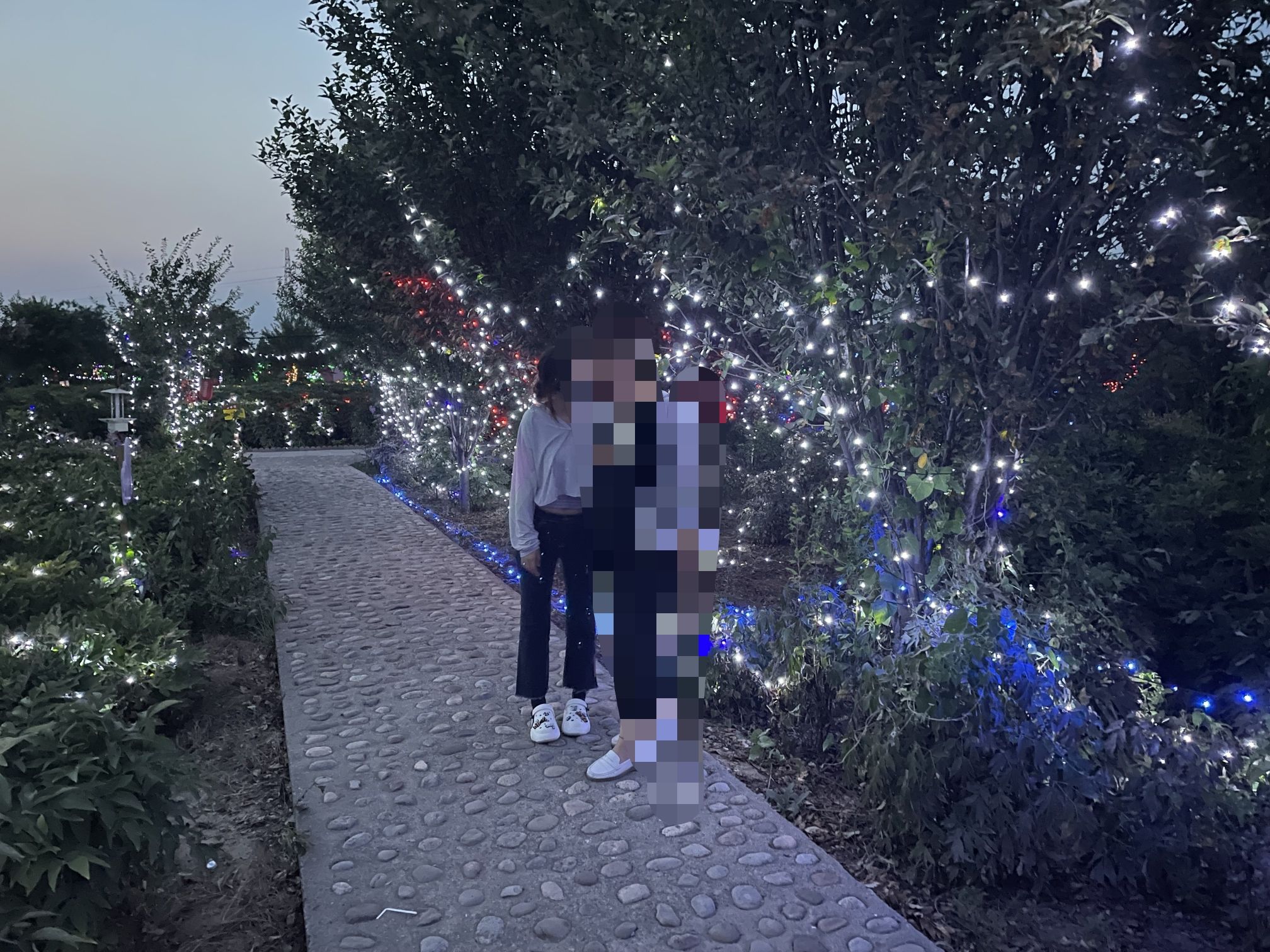 洪洞龙兴牡丹园旅行图片 3