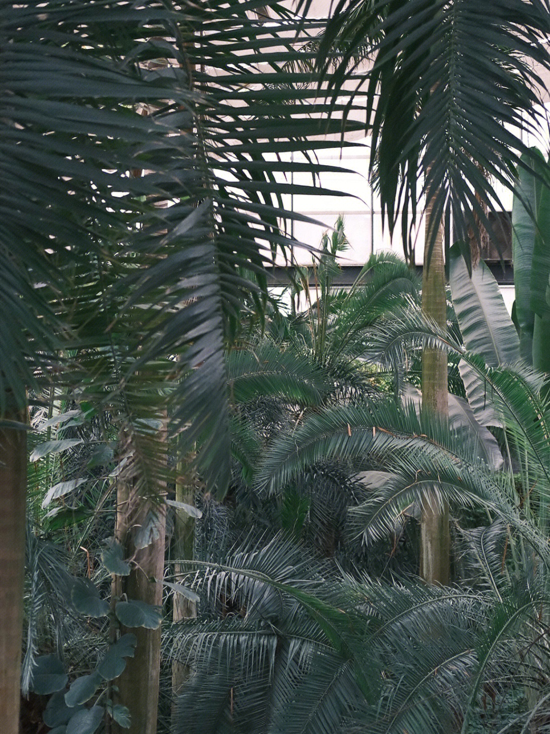盐城植物园旅行图片 2