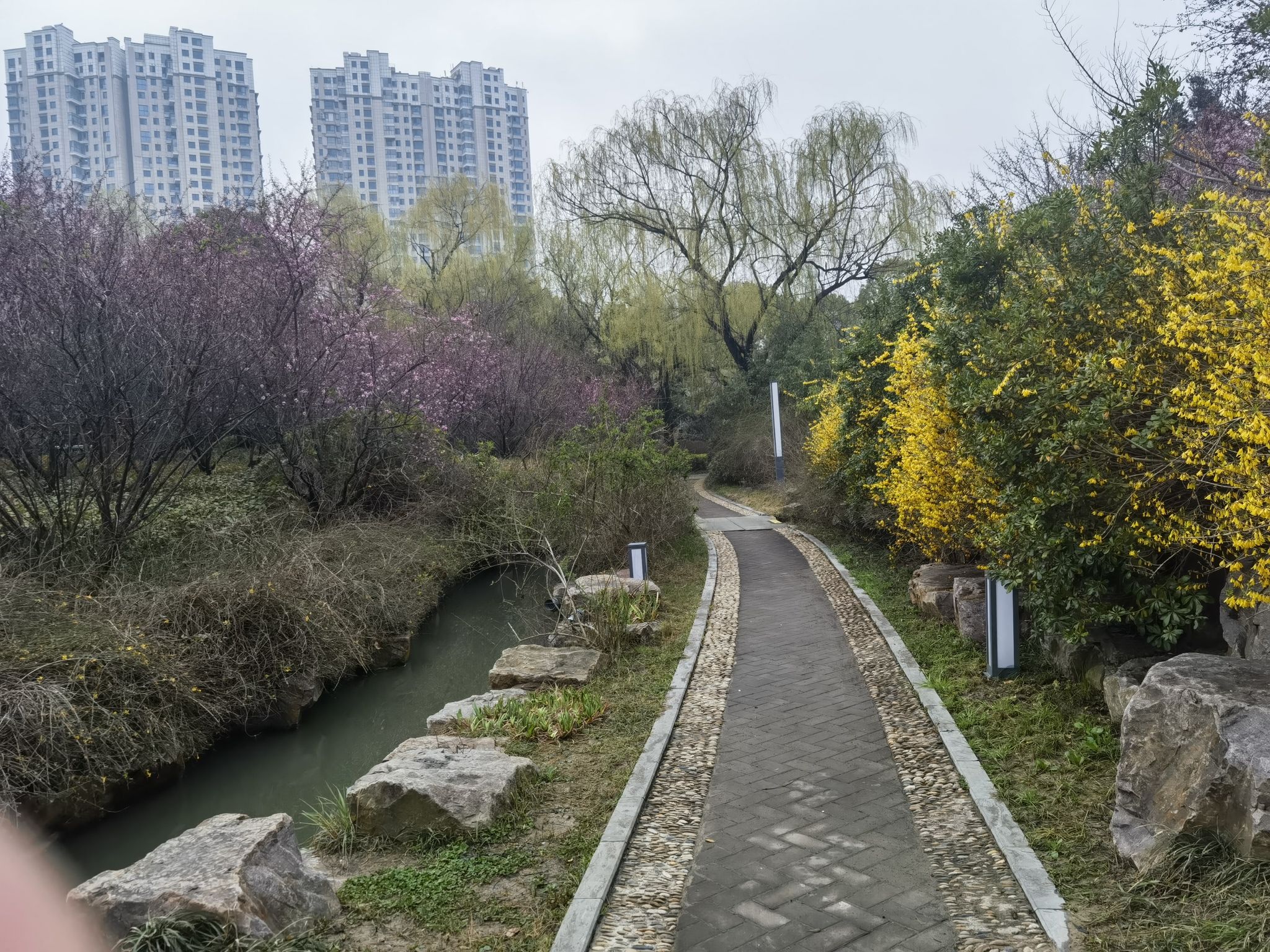 盐城植物园旅行图片 3