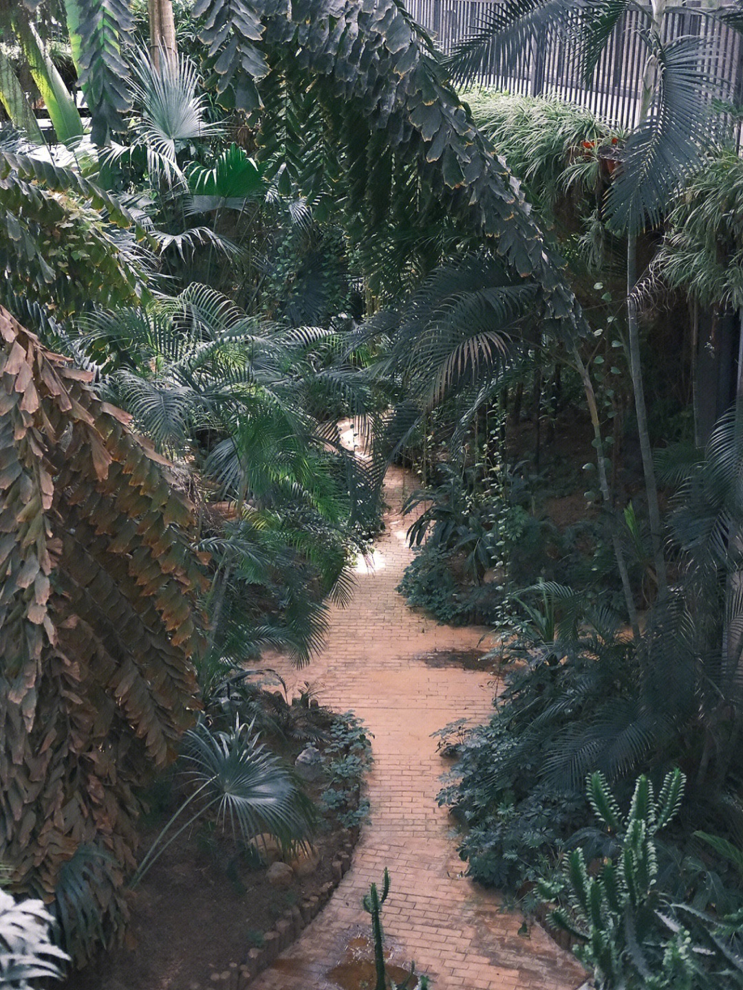盐城植物园旅行图片 3