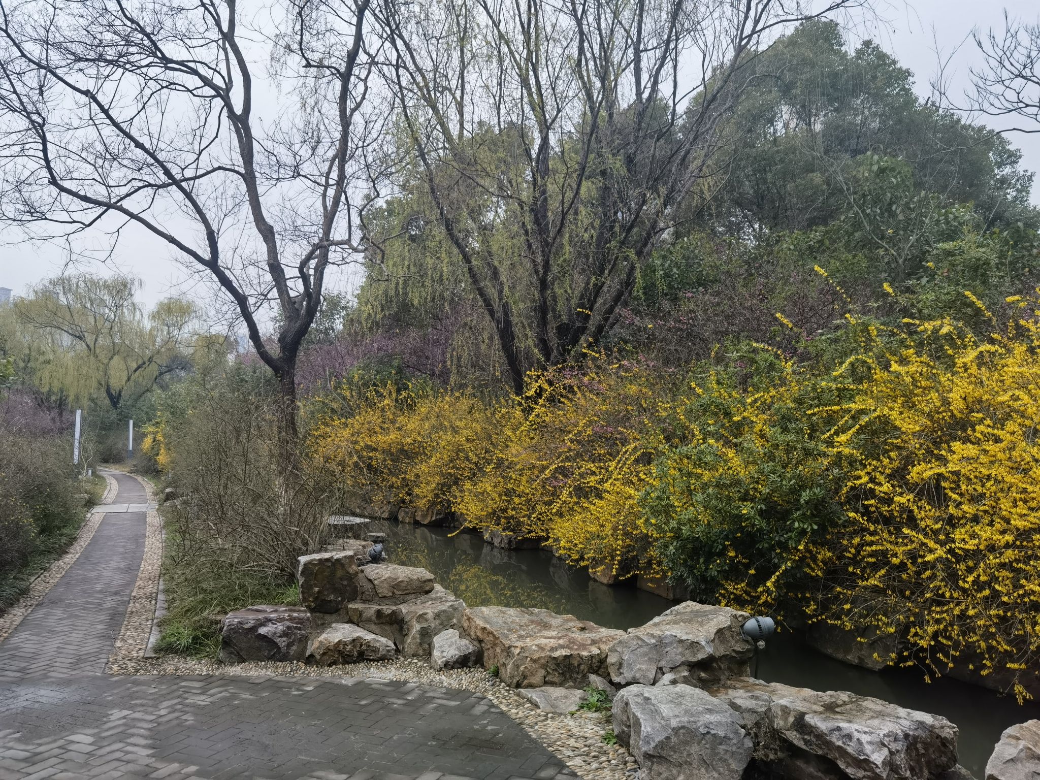 盐城植物园旅行图片 2