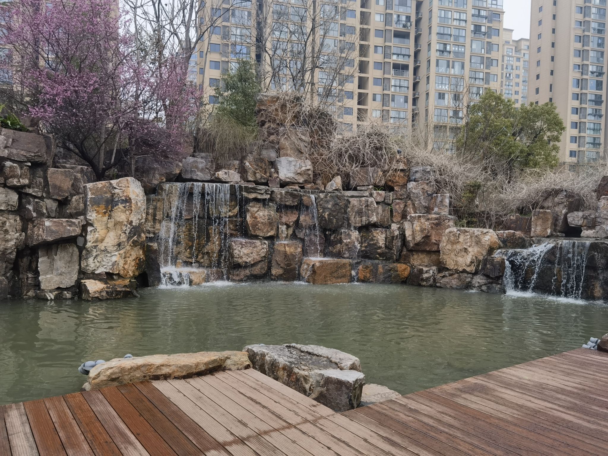盐城植物园旅行图片 1