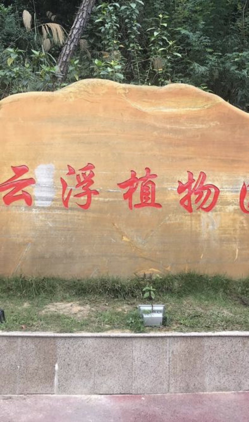 云浮植物园旅行图片