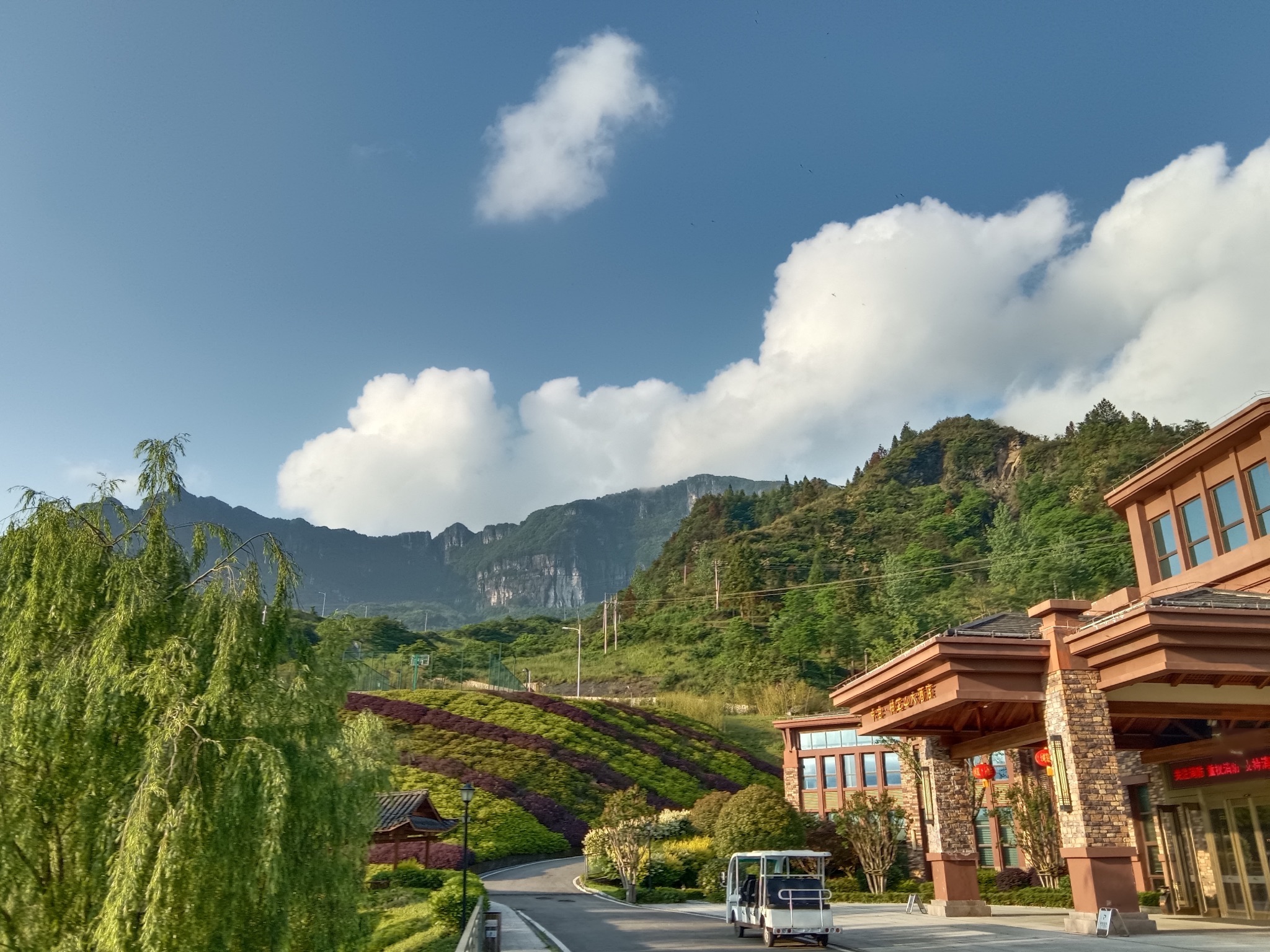 中冶·柏芷山国际度假公园旅行图片 1
