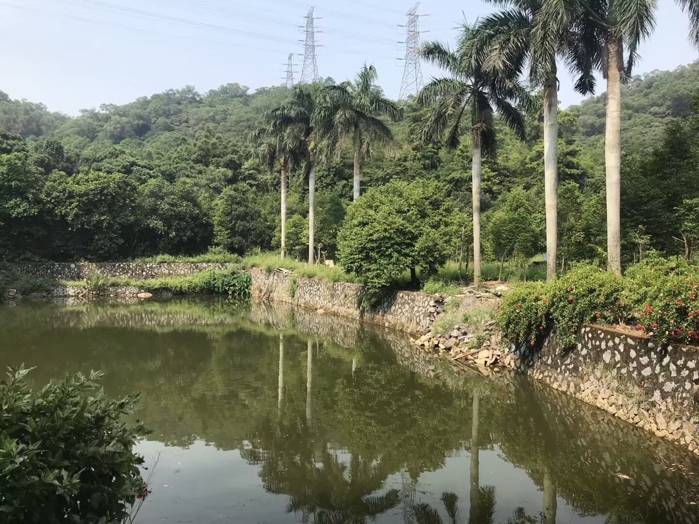 沉香小镇旅行图片 3
