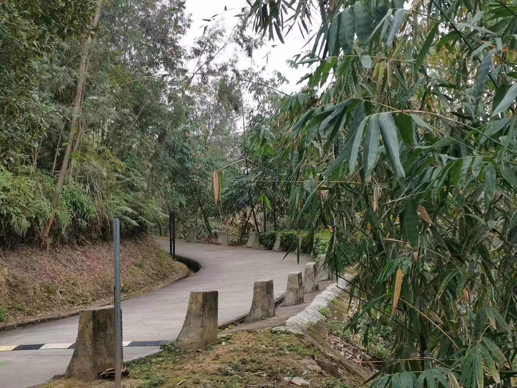 牛岭山公园旅行图片 1