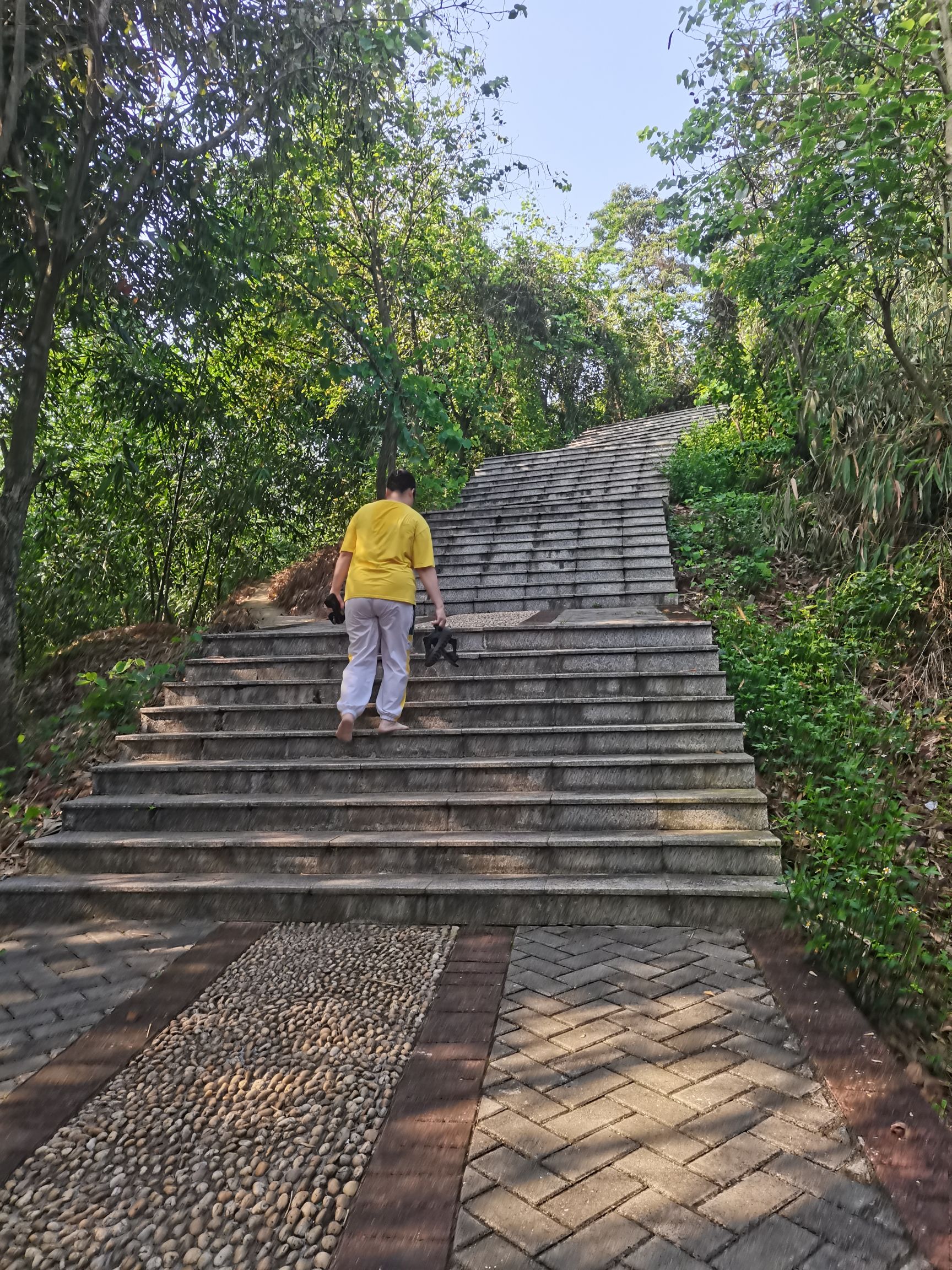 牛岭山公园旅行图片 1