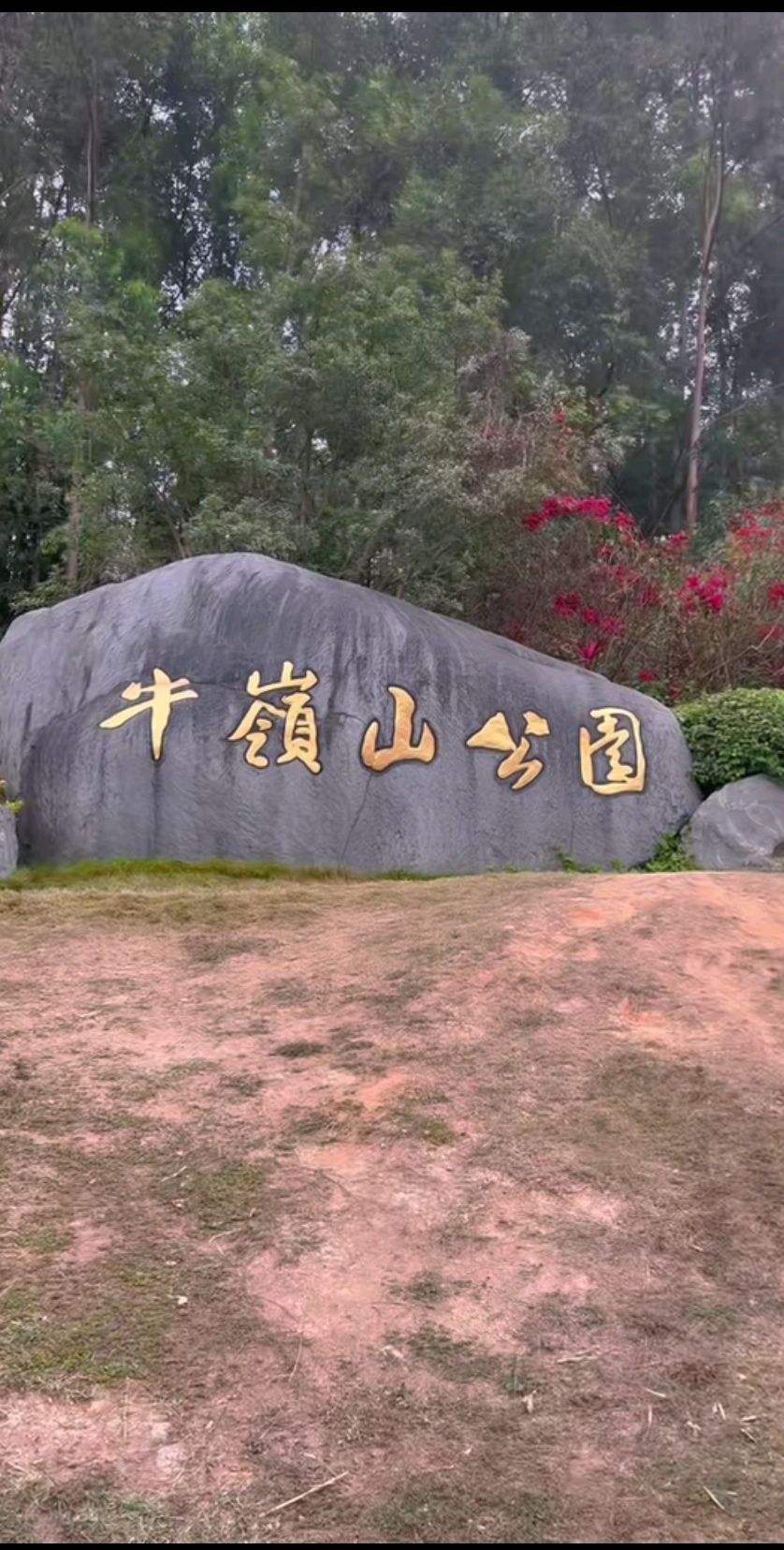 牛岭山公园旅行图片 1