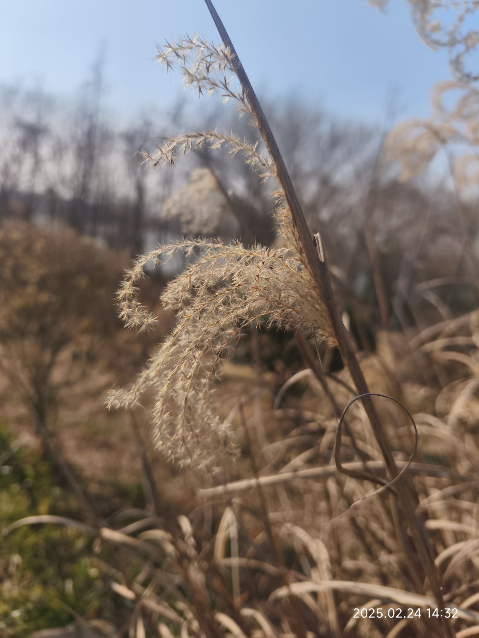 马可波罗花世界婚礼小镇旅行图片 1