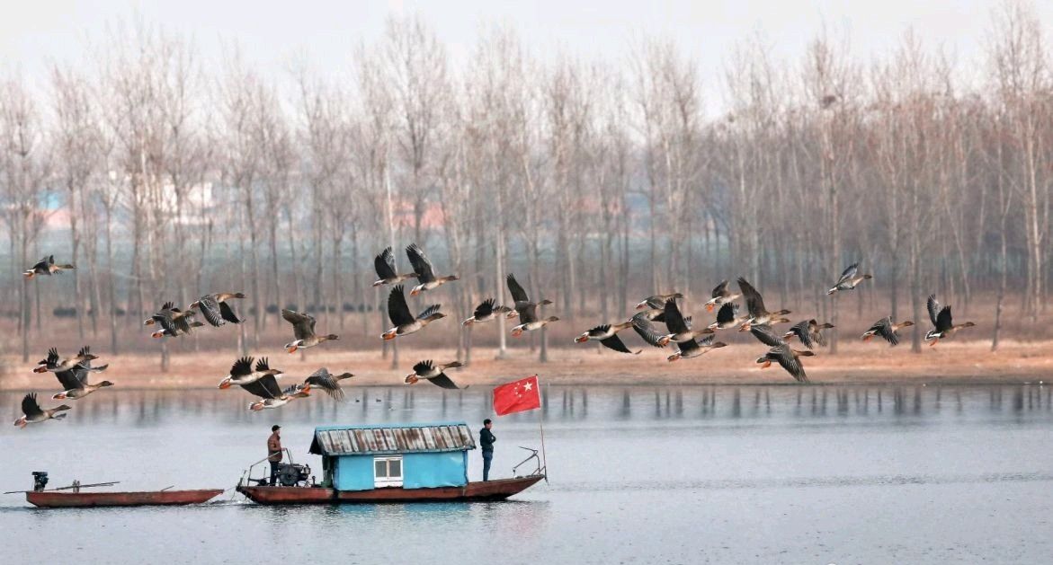邓州市湍河国家湿地公园旅行图片 1